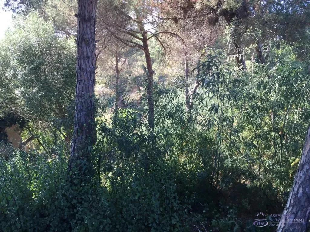 Urban Lloret plot for two-storey home