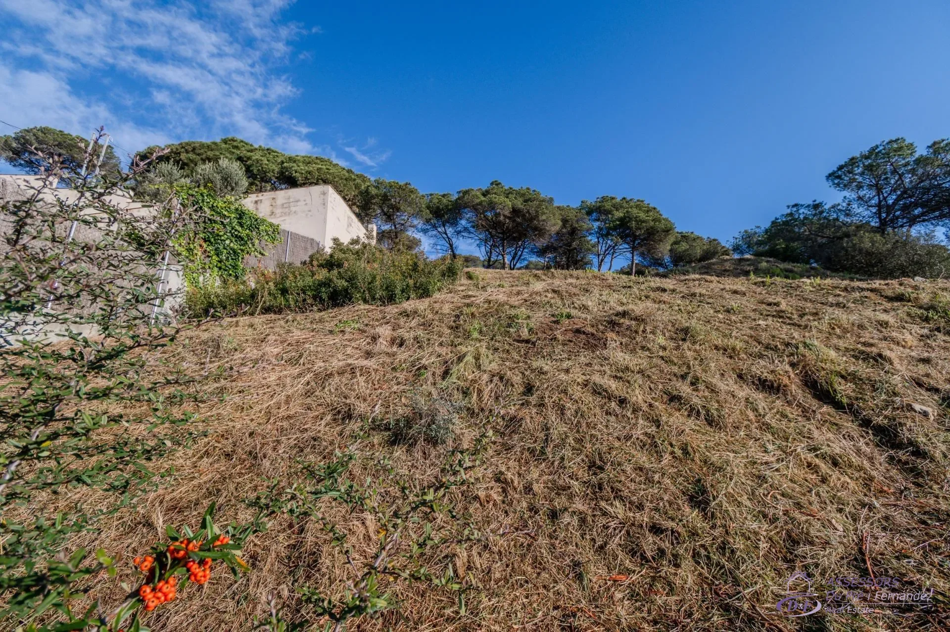 Solar edificable de 937 m² con servicios