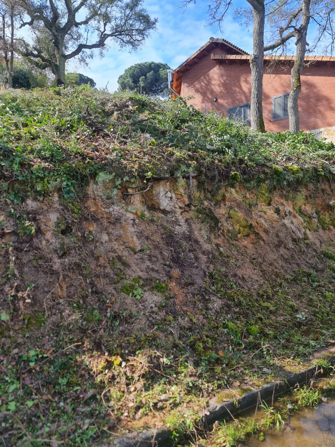 Urban plot in Maçanet, 642 m²