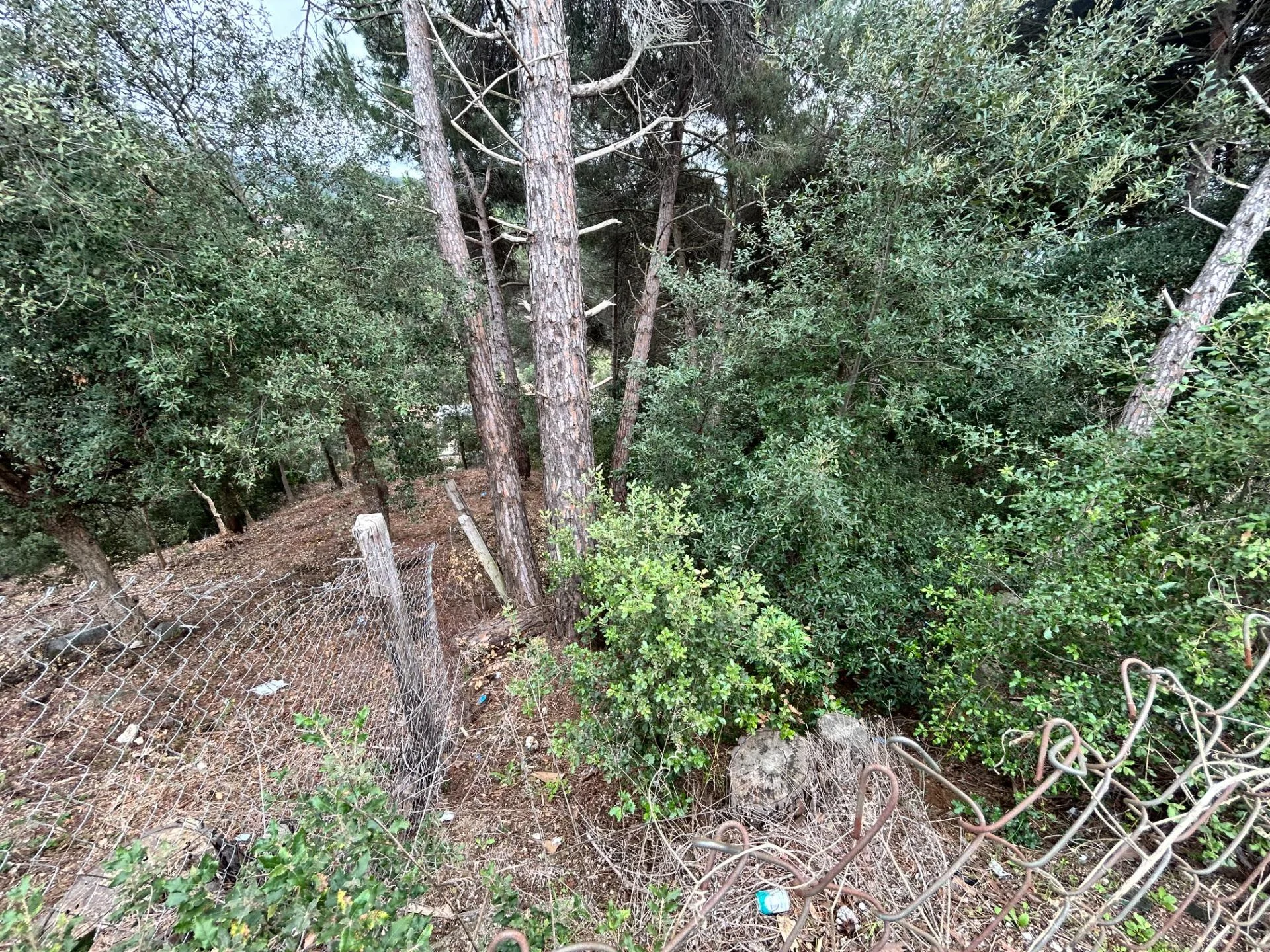 Parcela de montaña en Dosrius, 1.002 m²
