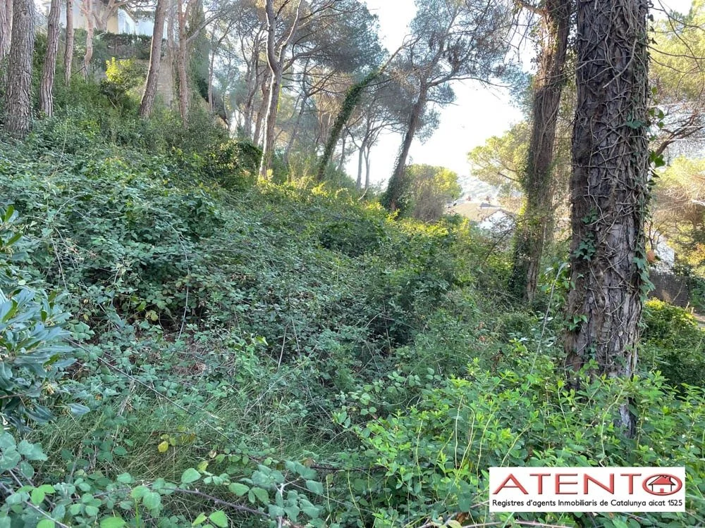 Urbanizable land in Can Tolrà, 788 m²