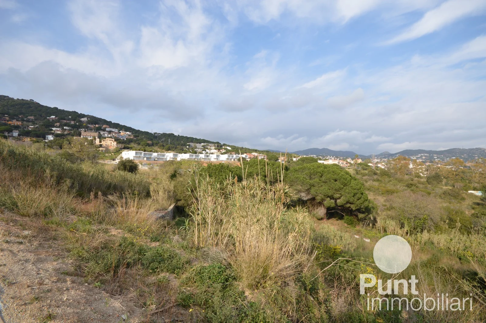 Large La Cisa development plot