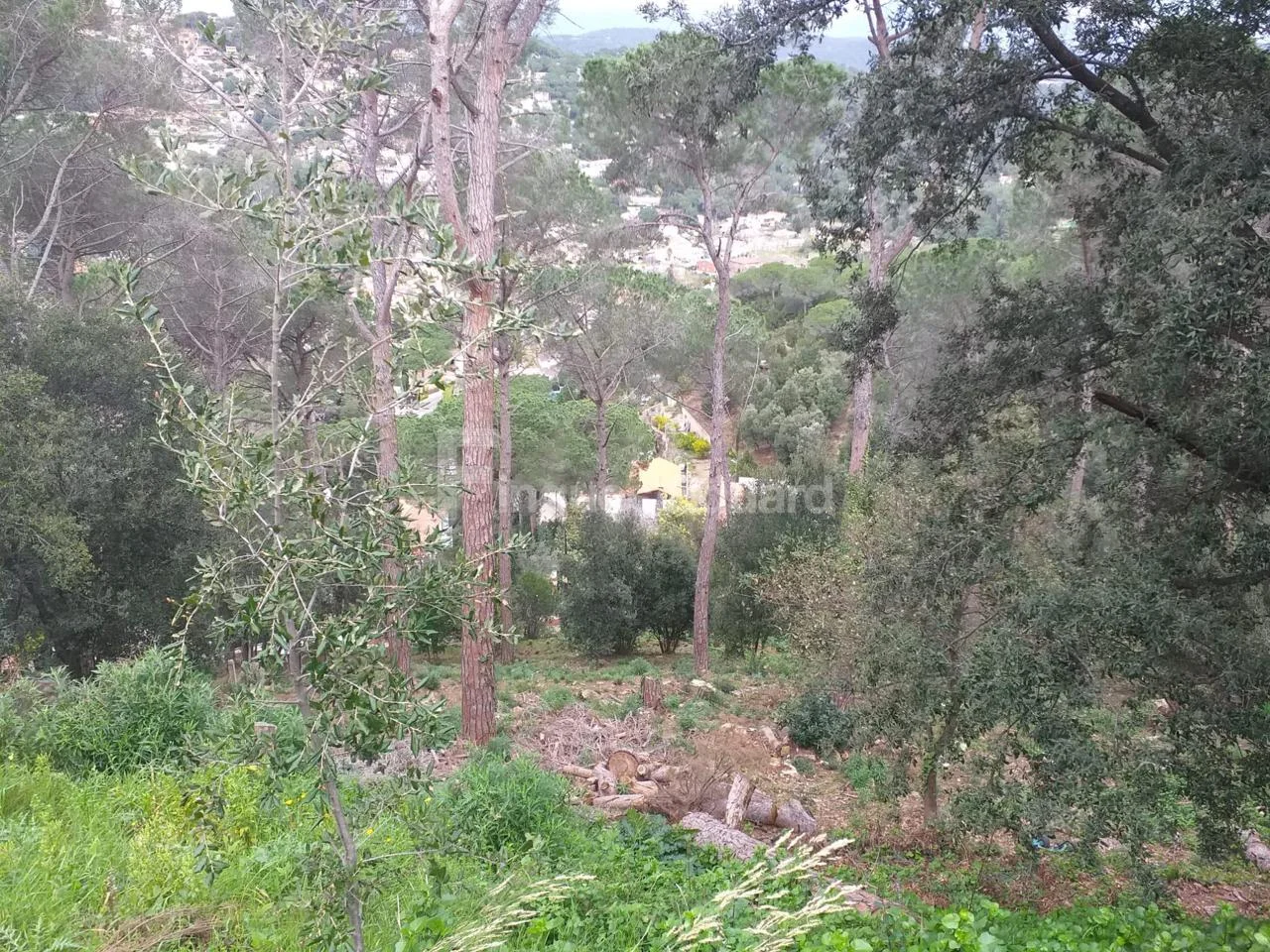 Mountain-view plot in Can Raimi