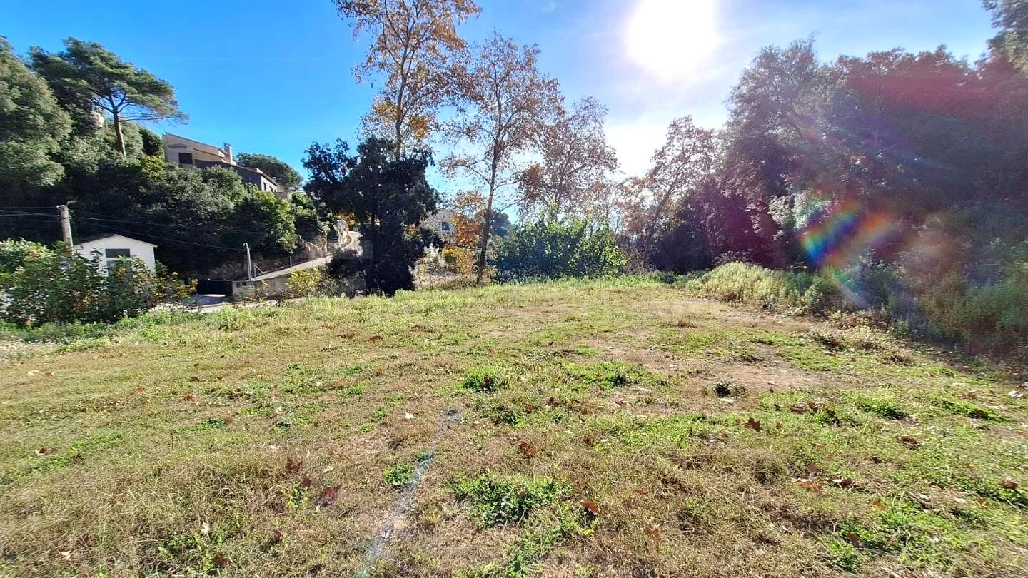 Sunny 800 m² Can Massuet plot