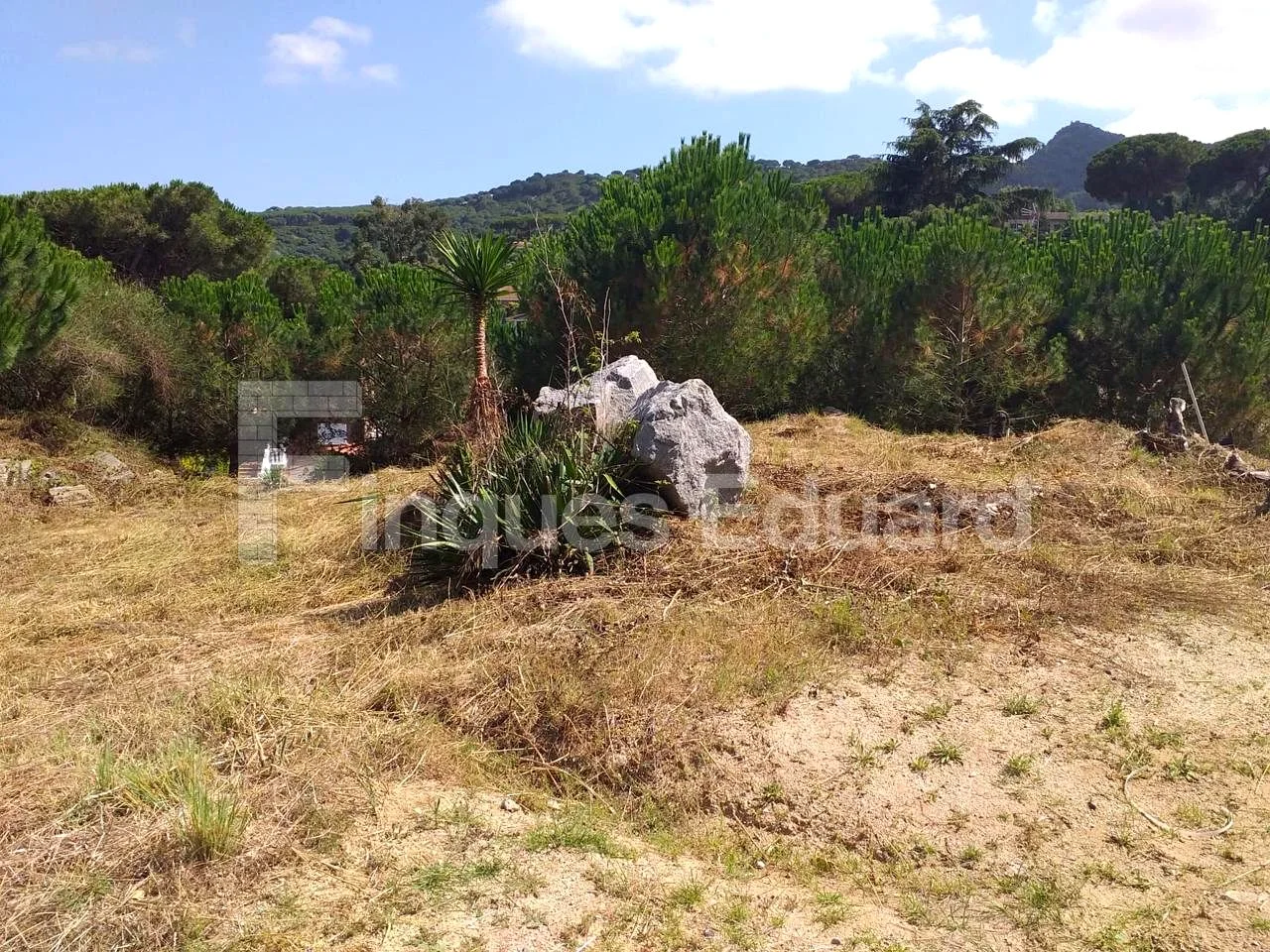 Sunny urban plot with mountain views