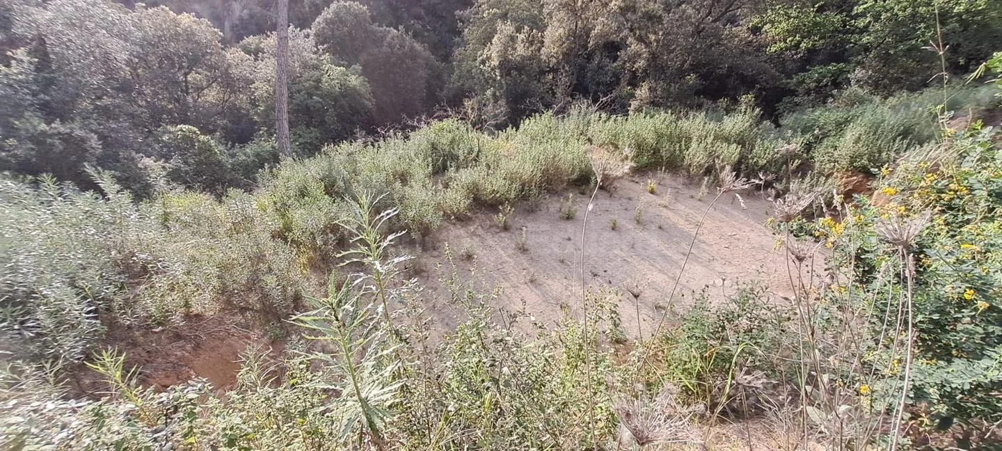 Buildable plot in Can Massuet