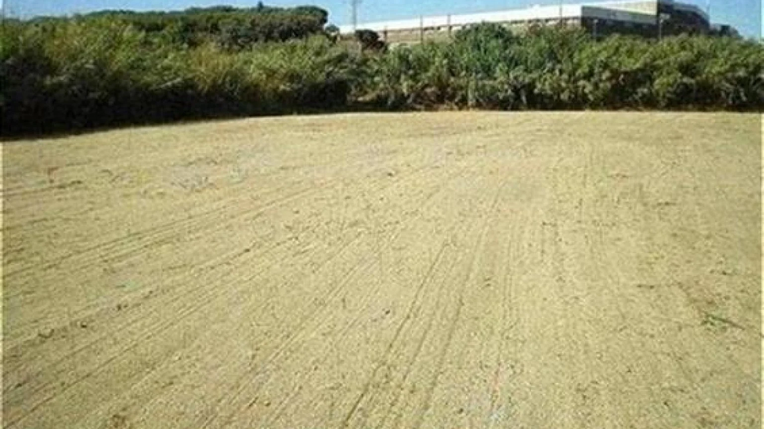Terreno cultivable en Mataró, 5.000 m²