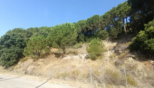 Buildable plot in Dosrius, 791 m²