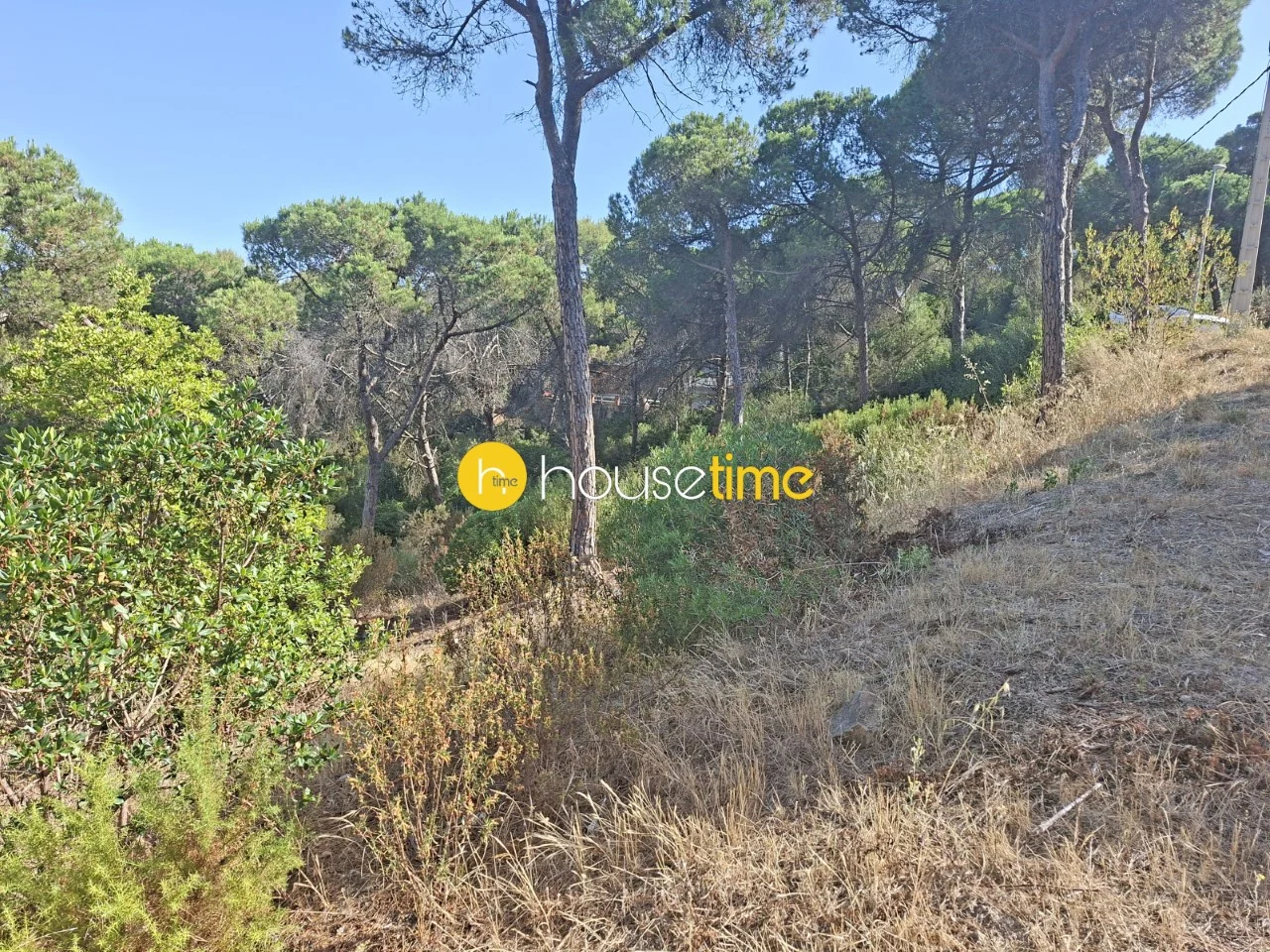 Parcela urbana en Bosc Ruscalleda, 1.298 m²