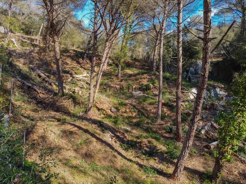 Buildable Dosrius plot, 375 m² potential