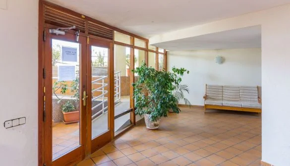 Local comercial en planta baja en Pineda