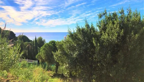Calella plot with 1,045 m² land