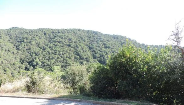 Sea-view plot in Can Palau
