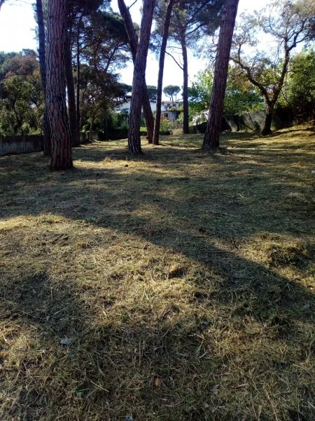 Developable 800 m² plot in Maçanet