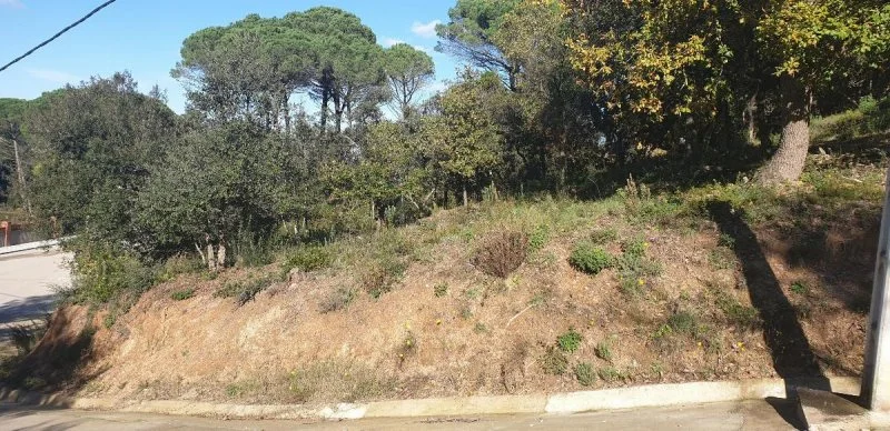 Non-developable Tordera plot, 1,101 m²
