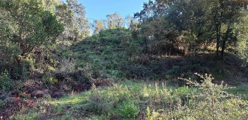 Developable 800 m² plot in Tordera