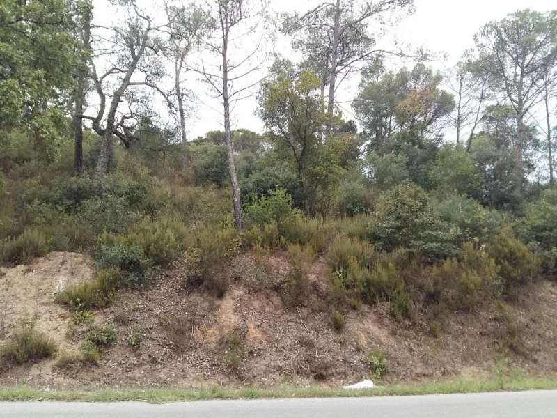 Developable 750 m² plot in Les Ferreres
