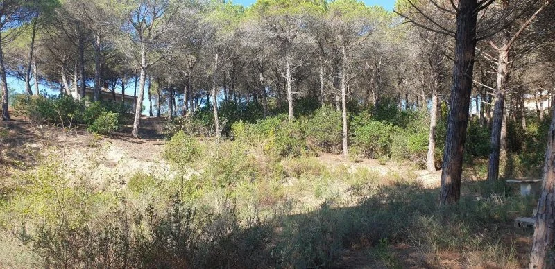 Terreno rústico vallado cerca de Tordera