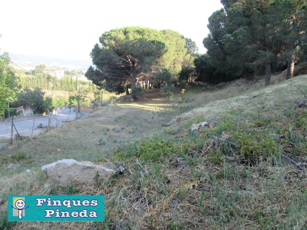 Parcela de 1.000 m² con vistas al mar en Montesol