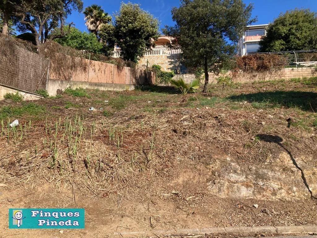 Urban plot near sea in Santa Susanna