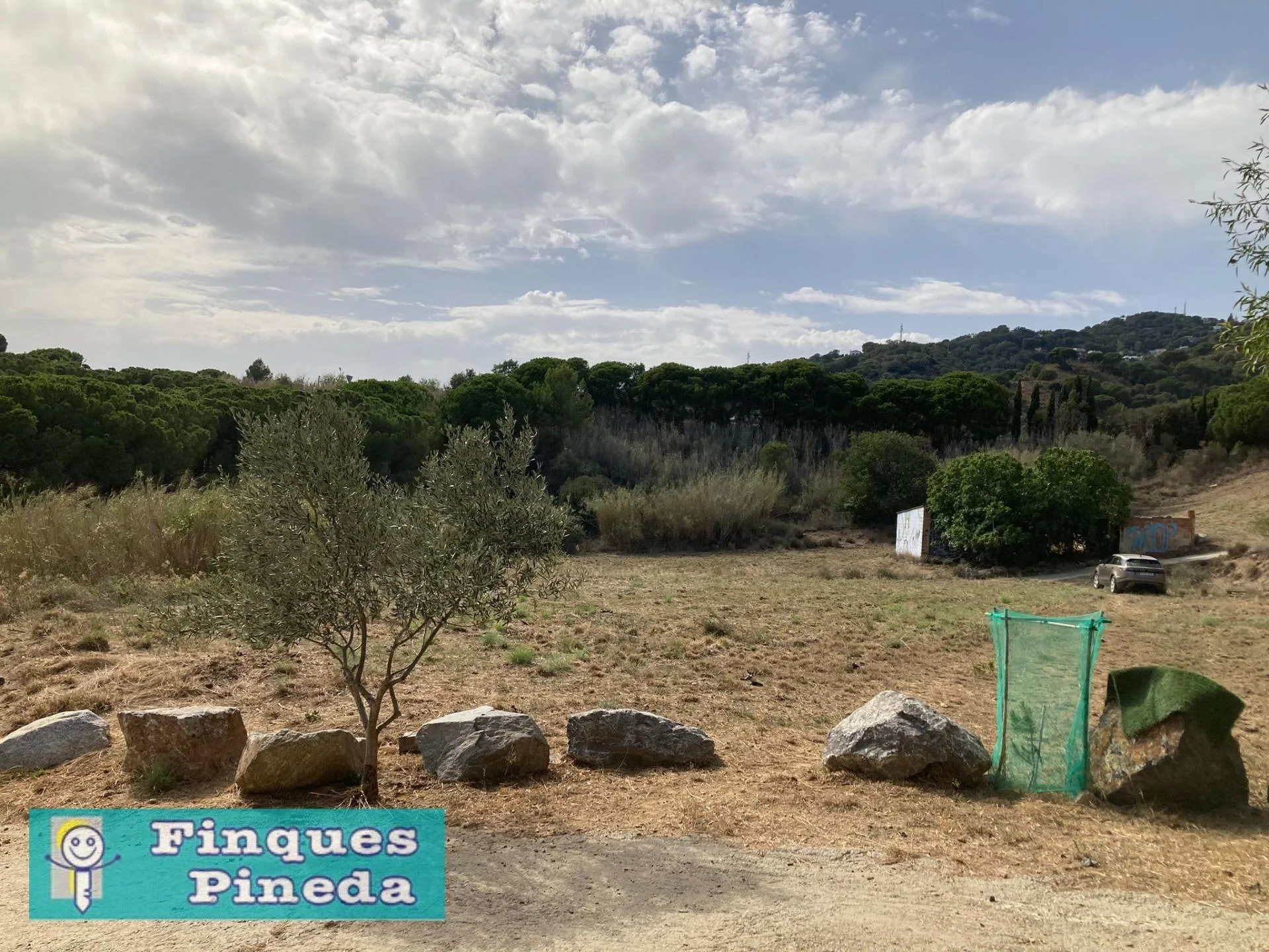 Rural plot near Pineda, 6475 m²