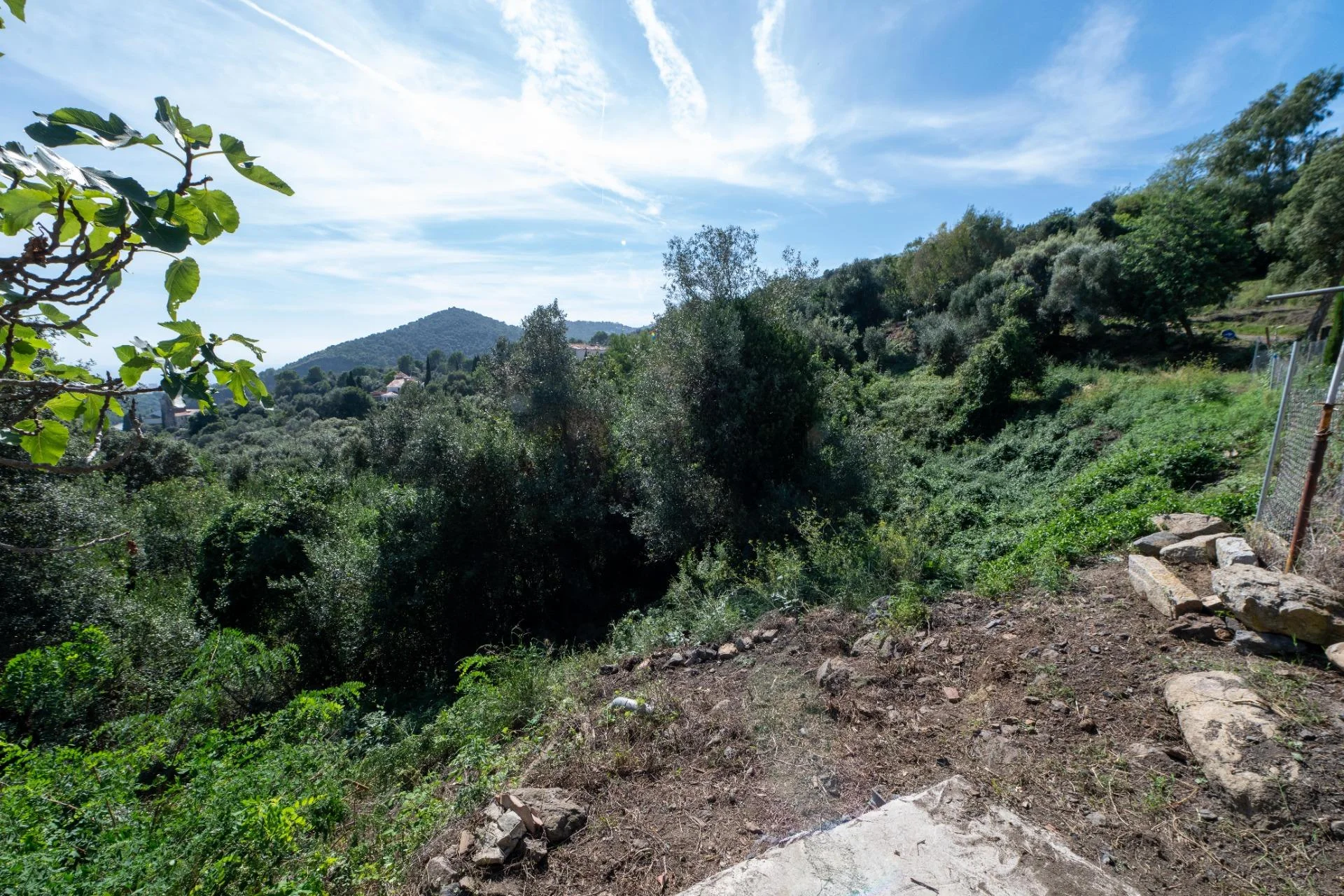 10,176 m² rural plot in Tordera