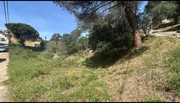 Large Tordera plot with subdivision potential