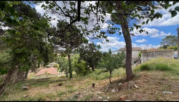 Parcela urbana con vistas verdes