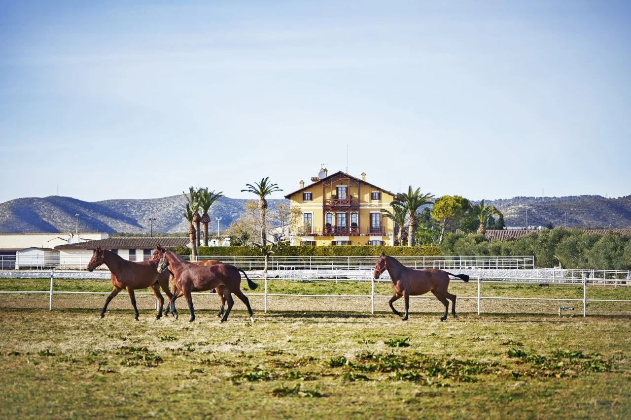 Restored equestrian estate near Barcelona