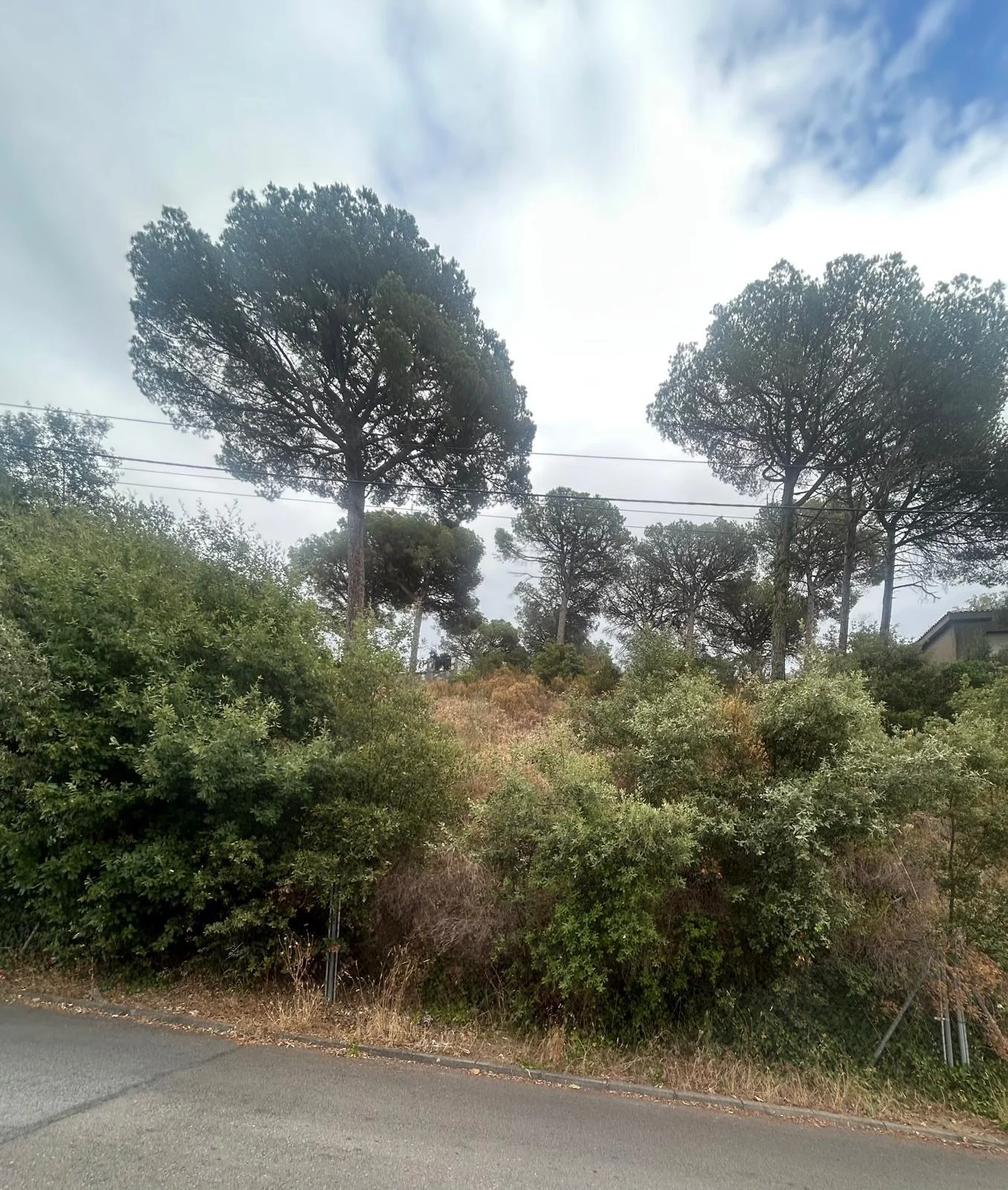 Parcela urbana en Can Massuet, 932 m²