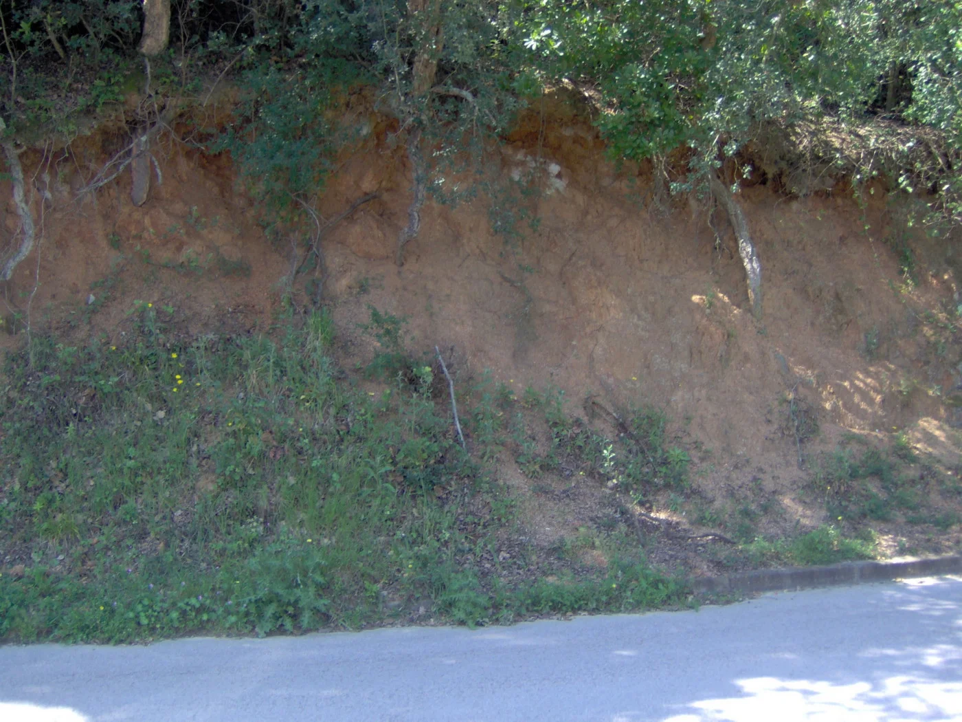 Arenys de Munt 1,033 m² plot