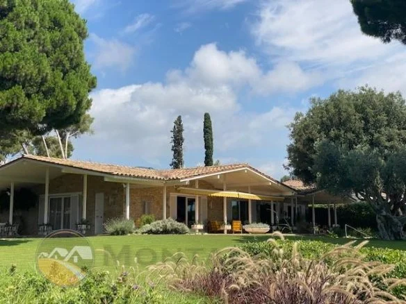 Chalet de una planta, piscina y anexo