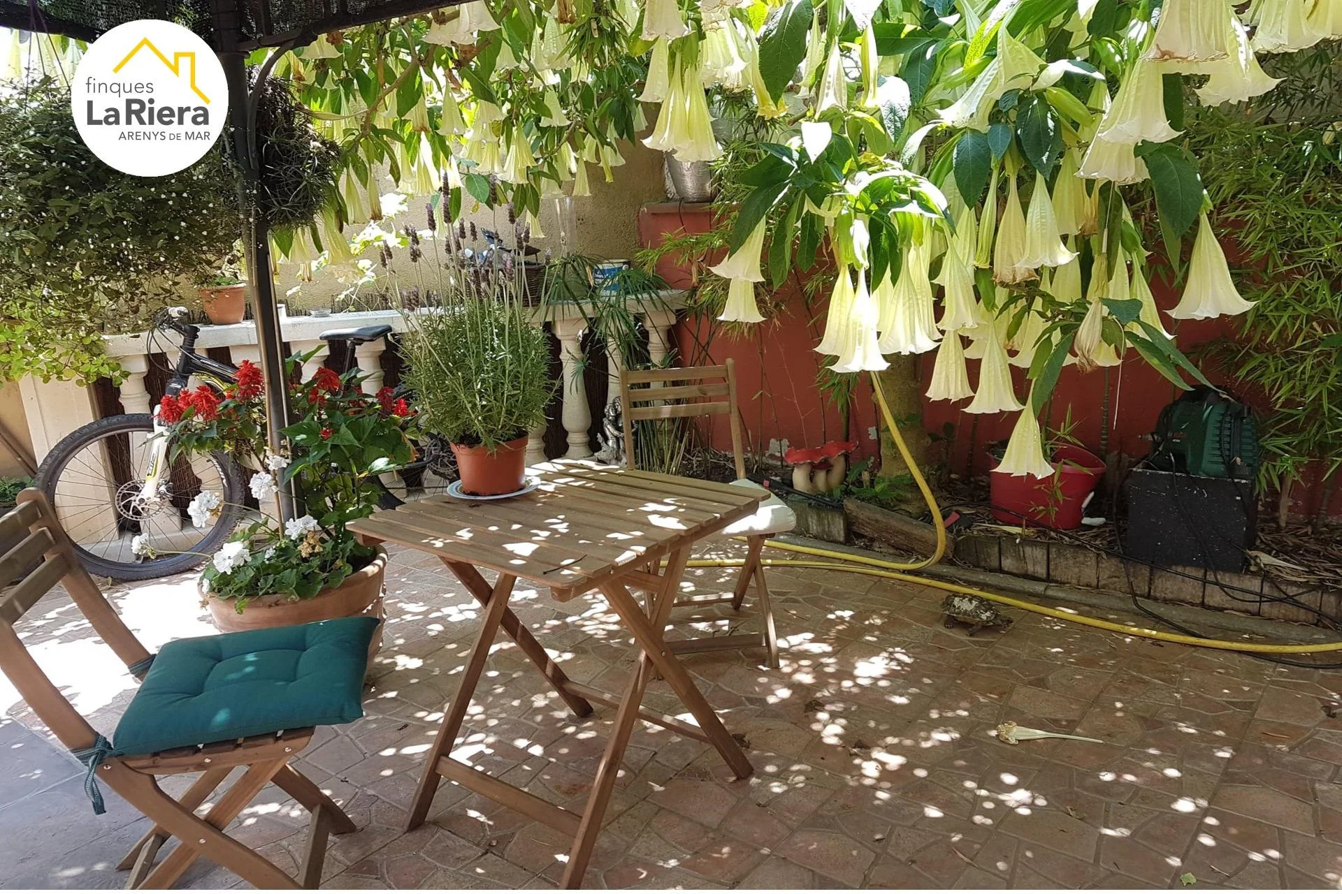 Casa de pueblo con bar autorizado