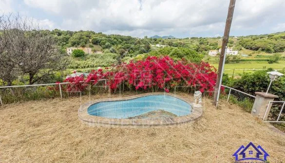 Rural plot with private pool