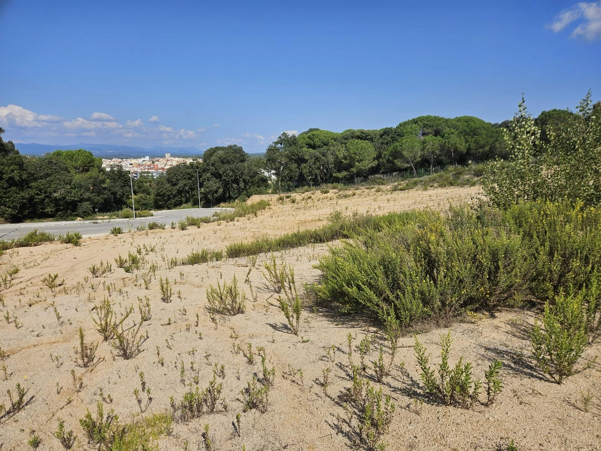 Gran parcela edificable en Palafolls, 7.769 m²