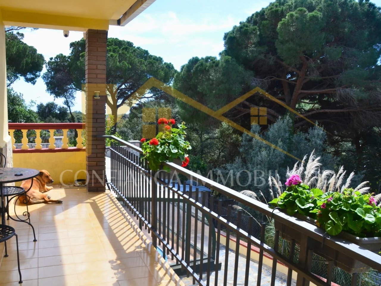 Casa en buen estado con piscina privada