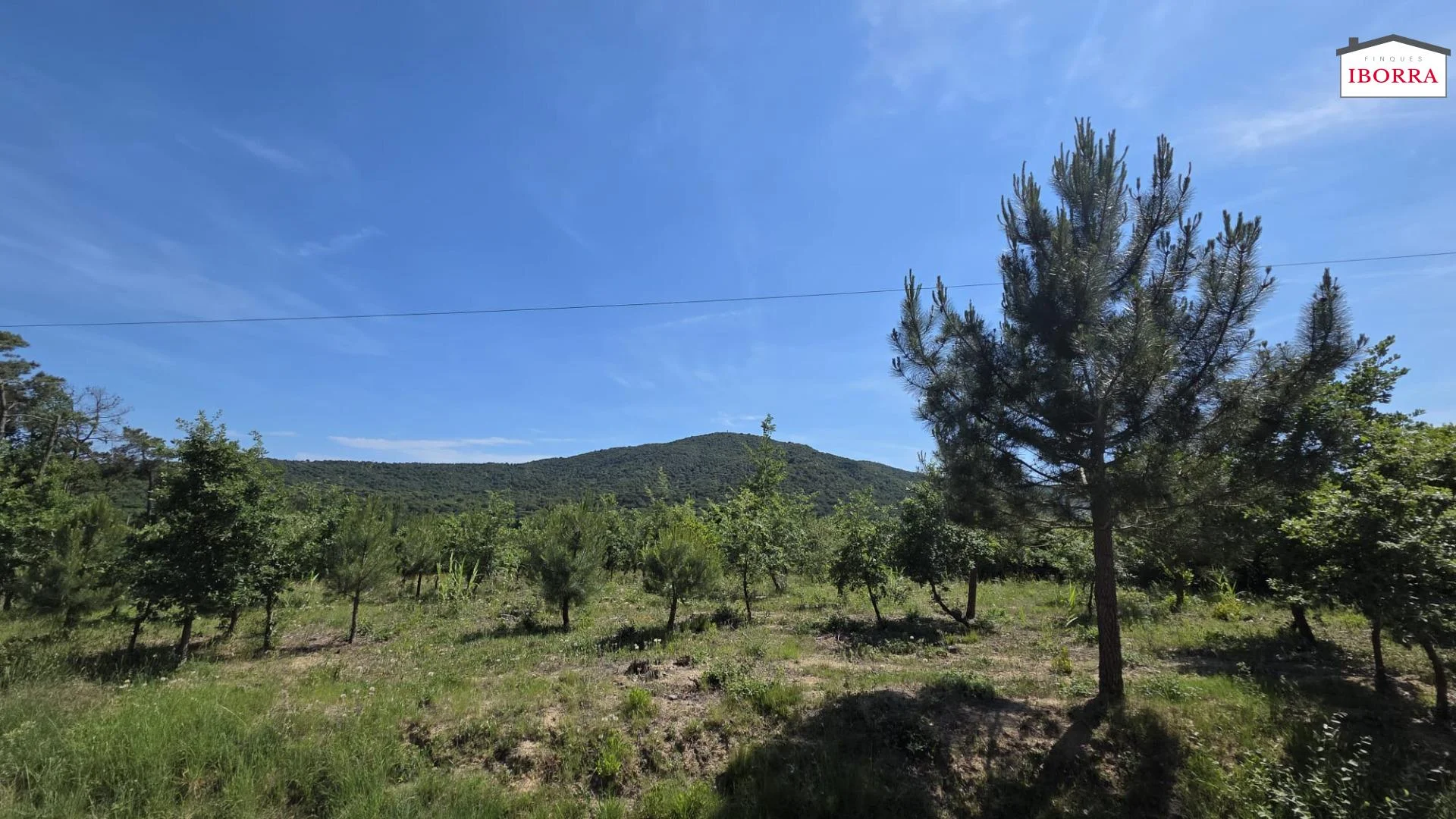 Gran parcela rústica cerca de Tordera