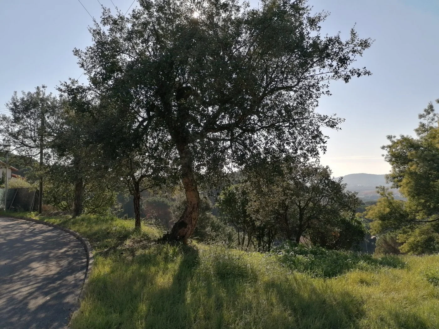 Terreno urbano en Mas Mora, Tordera