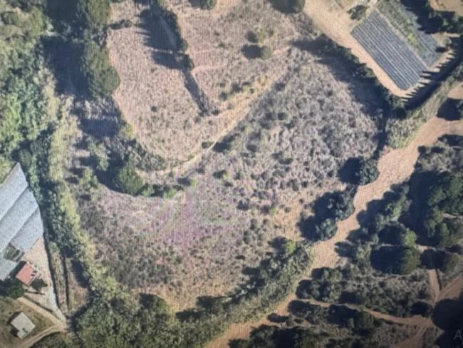 Large subdivided land parcel, 13,754 m²