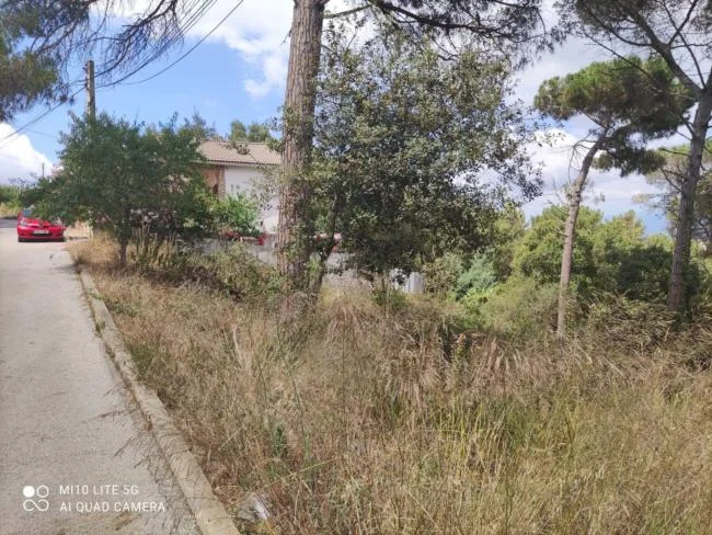 Parcela urbanizable en Mas Mora con vistas