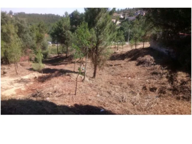 856 m² plot in Can Fornaca