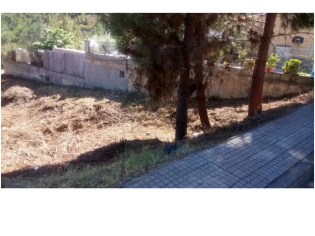 Can Fornaca plot, 1,369 m²