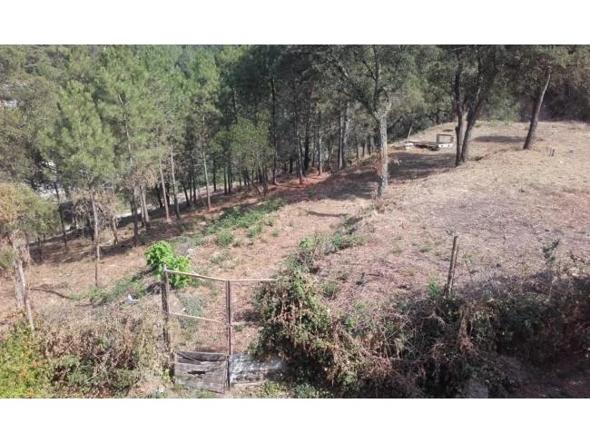 Buildable land in Can Fornaca, 2920 m²