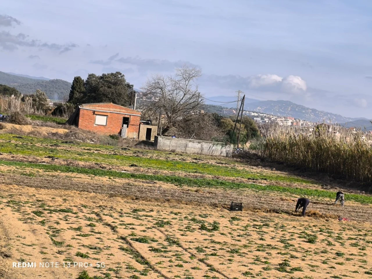Terreno rústico de 9.800 m² en Palafolls