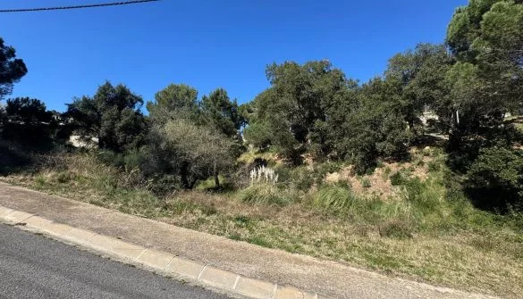 Gran parcela en Agora Park, Tordera