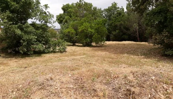 648 m² land plot in Tordera