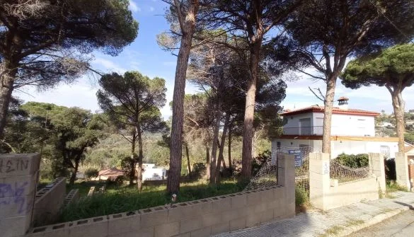 740 m² plot in Mas Mora
