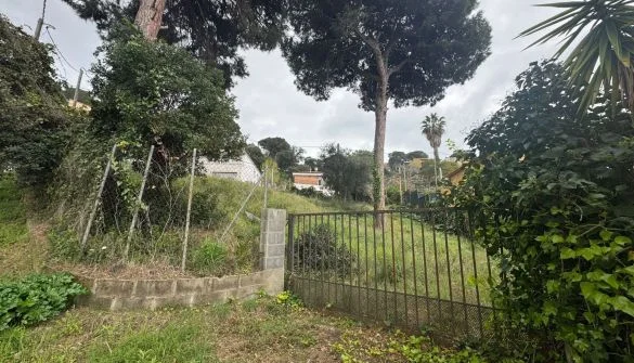 Mas Mora plot with 477 m²
