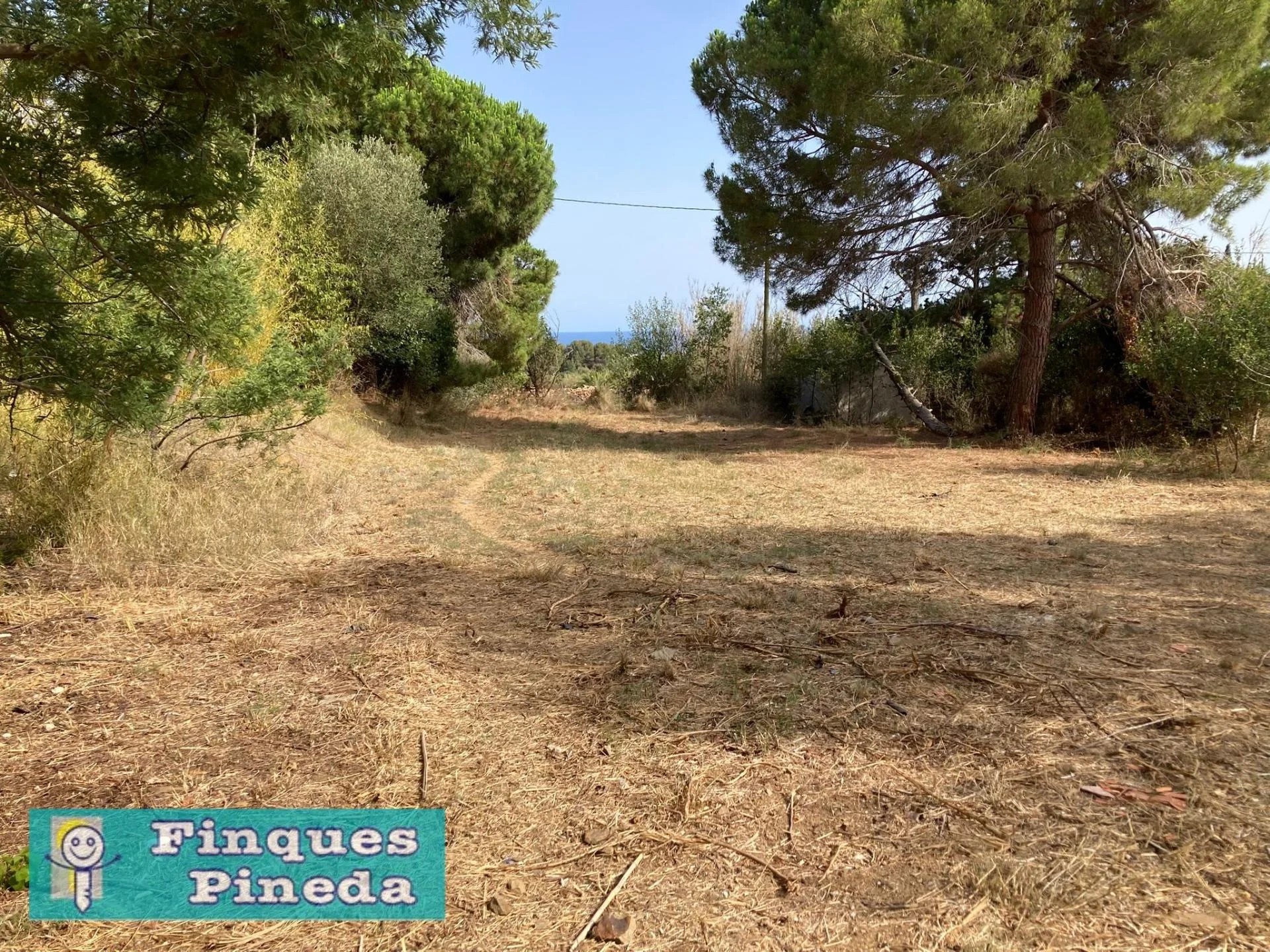 Rustic plot near Pineda coast