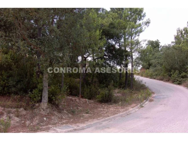 Buildable Lloret plot with panoramic views